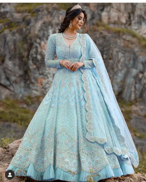 Sky Blue Soft Butterfly Net Gown with Embroidery Work