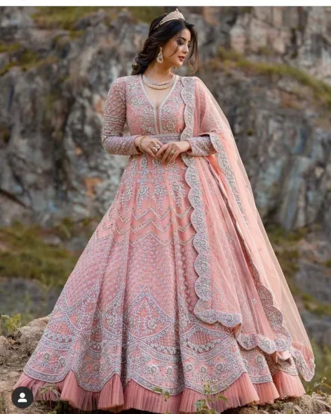 Peach Soft Butterfly Net Gown with Embroidery Work