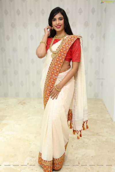White Chanderi Cotton Saree with Fancy Embroidery Lace Work