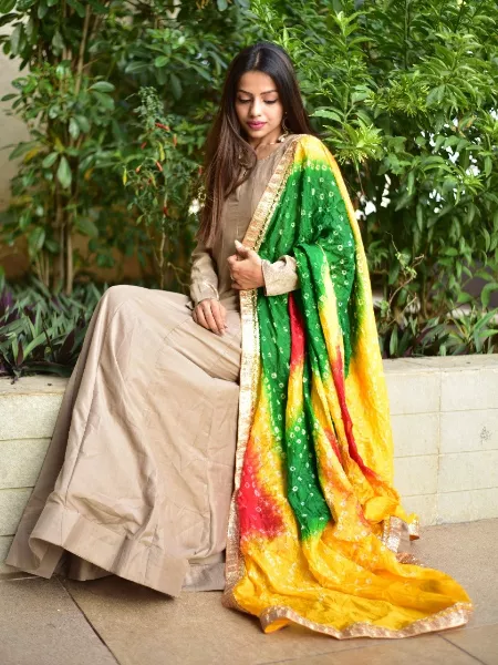Chiku Color Party Wear Gown with Digital Printed Dupatta