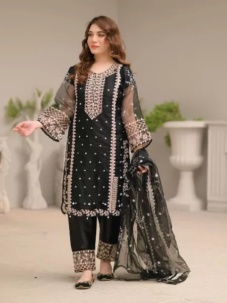 Organza Pakistani Suit in Black Color With Beautiful Embroidery Work With Dupatta