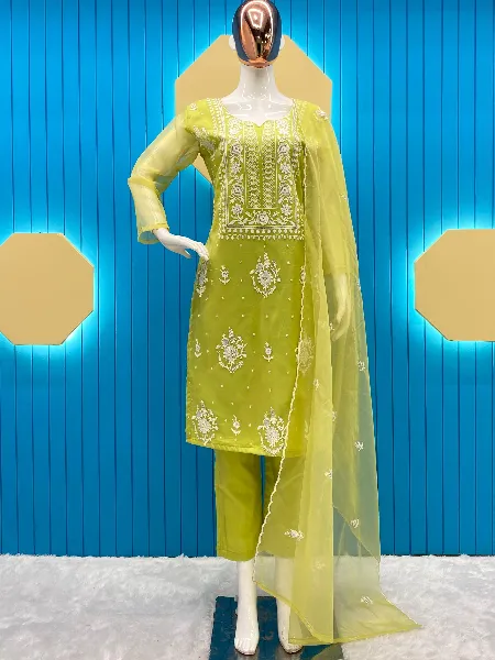 Buy Parrot Green & Blue Cotton Embroidered & Mirror Work Salwar Suit For  Women Online at Best Prices in India - JioMart.