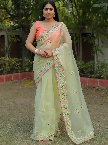 Pista Color Organza Saree With Resam Embroidery Work and Blouse