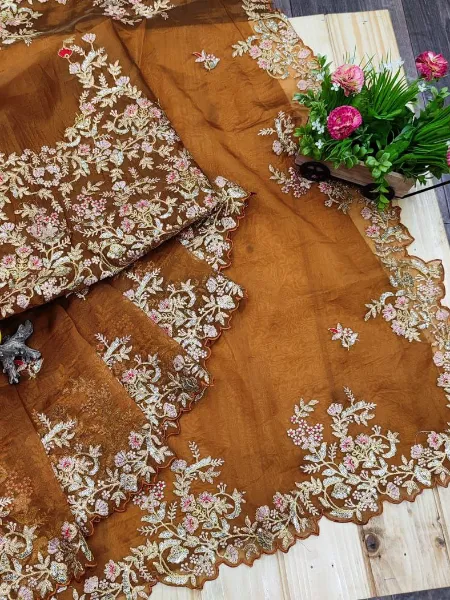 Brown Sequins Embroidery Saree in Organza With Embroidery Blouse Indian Sari