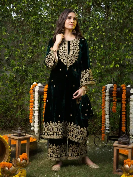 Velvet Indian Pakistani Dress in Green Eid Dress With Sequins Embroidery