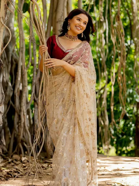 Beige Soft Net Fabric Saree With Beautiful Sequins Embroidery and Blouse