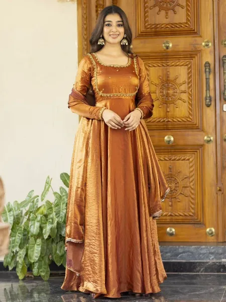 slim fit dress slacks Antique Bronze Brown Beads and Mirror Embroidered Design Organza Party Wear  Gown with Hip Belt main image 1