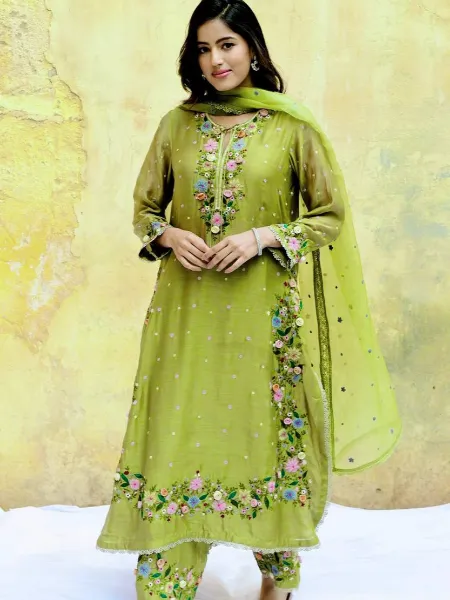 Parrot Pakistani Dress With Scarf in Georgette With Rivet Sequence